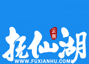 揭秘抚仙湖全新LOGO，书法韵味彰显湖畔风情