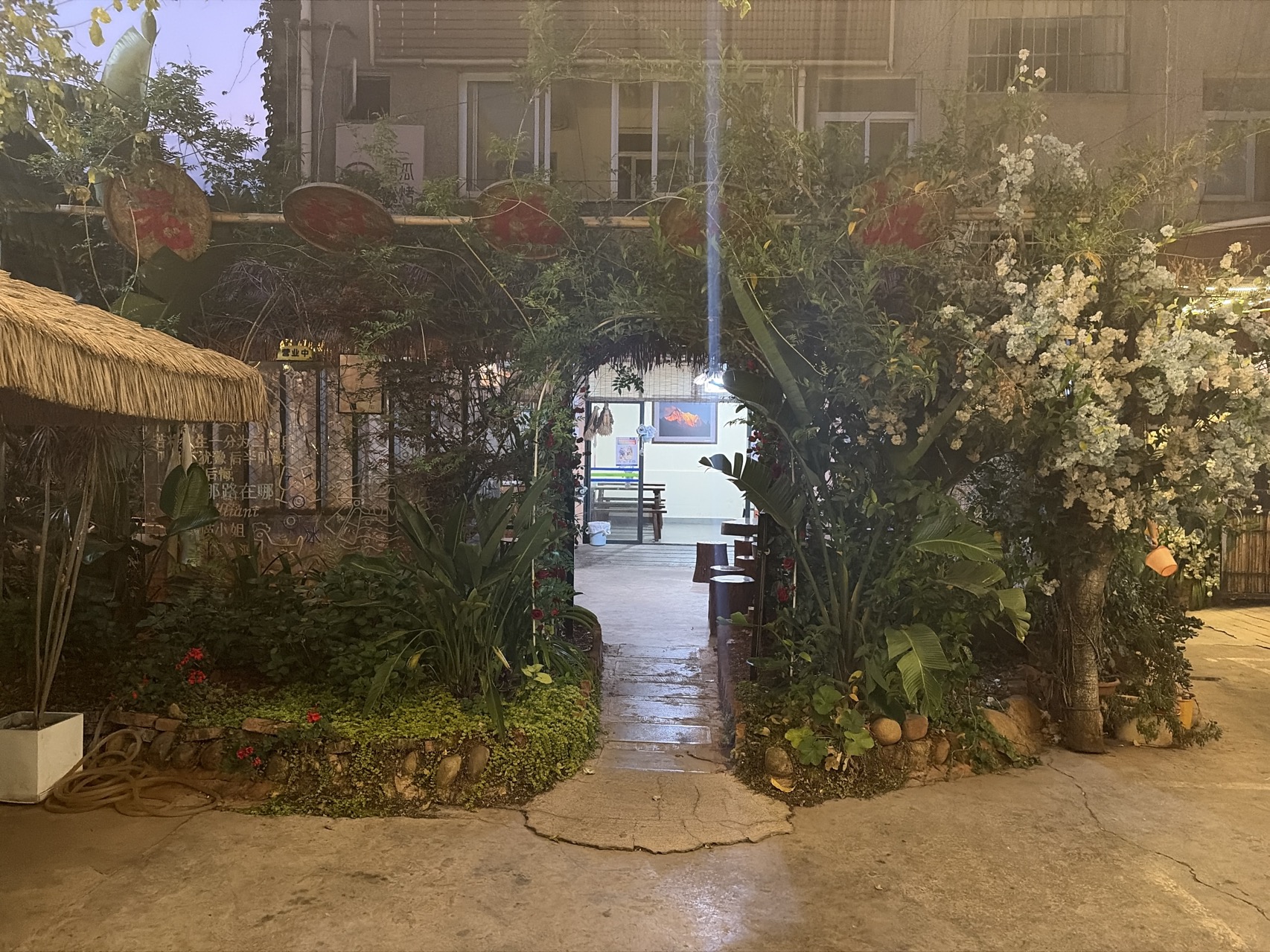 IMG_0270.jpeg